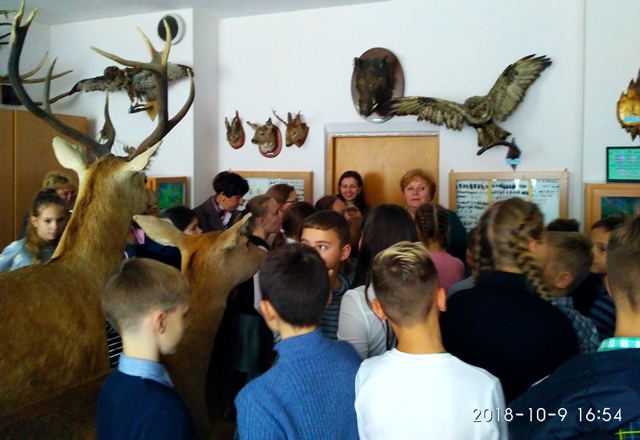 Школярі у зоологічному музеї